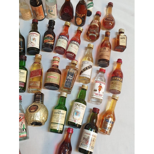 370 - Huge Collection of Alcohol Miniatures (Approx 50pcs)