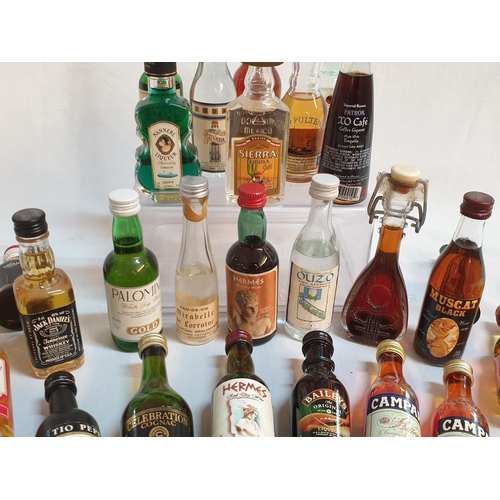 370 - Huge Collection of Alcohol Miniatures (Approx 50pcs)