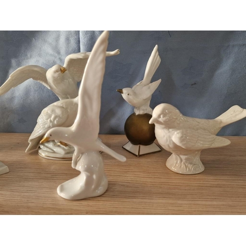 687 - Collection of 7 x Porcelain Bird Ornaments, Named Makers (see multiple photos), (7)