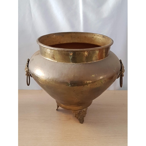 6 - Vintage Style Large Brass Plant Pot with Lions Head Handles (Approx H:35cm x Ø35cm)