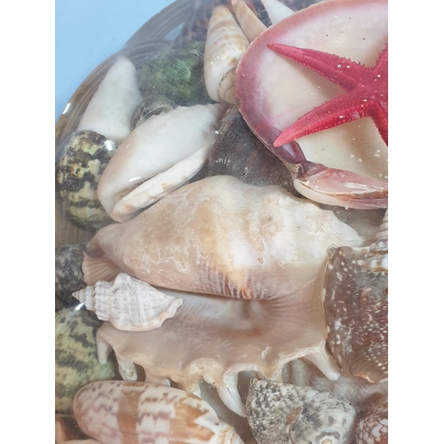 637 - Woven Bowl with Large Variety of Seashells Plus Starfish Wrapped, Made in the Philippines (Ø30cm)