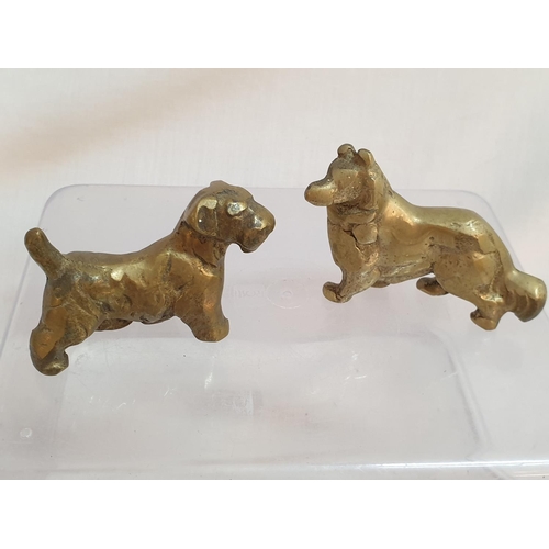 812 - Collection of 5 x Vintage Solid Brass Dogs