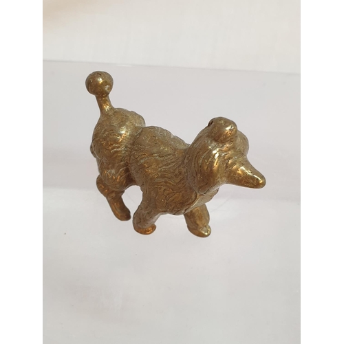 812 - Collection of 5 x Vintage Solid Brass Dogs