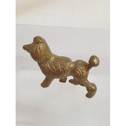 812 - Collection of 5 x Vintage Solid Brass Dogs