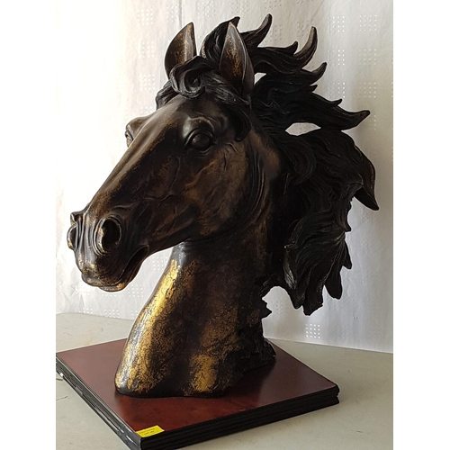 182 - Large Horse Head Bust, Brass Effect, on Wooden Base (H:63 x 62cm)