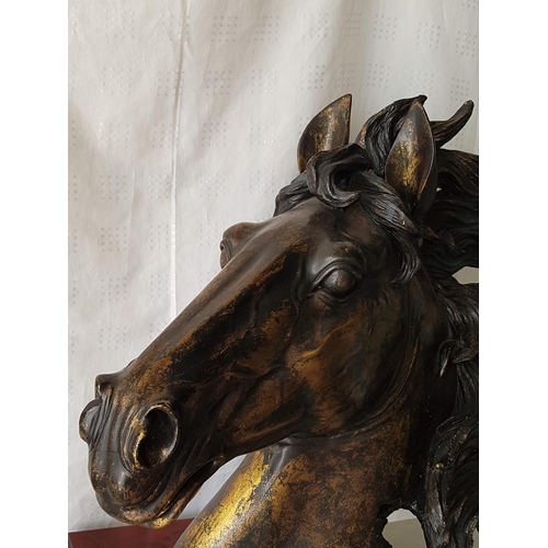 182 - Large Horse Head Bust, Brass Effect, on Wooden Base (H:63 x 62cm)