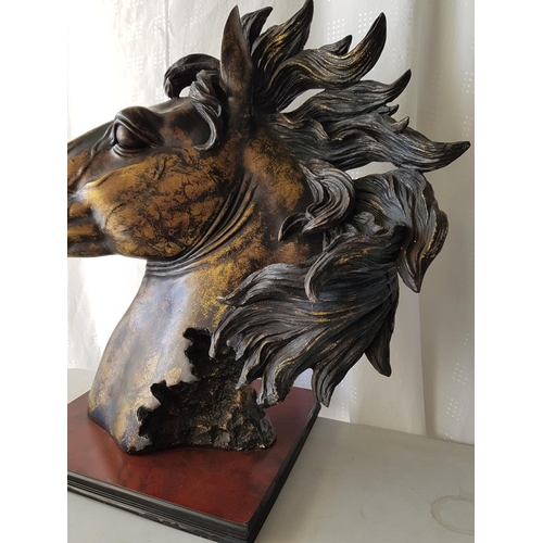 182 - Large Horse Head Bust, Brass Effect, on Wooden Base (H:63 x 62cm)