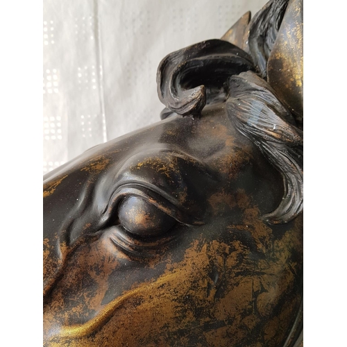 182 - Large Horse Head Bust, Brass Effect, on Wooden Base (H:63 x 62cm)