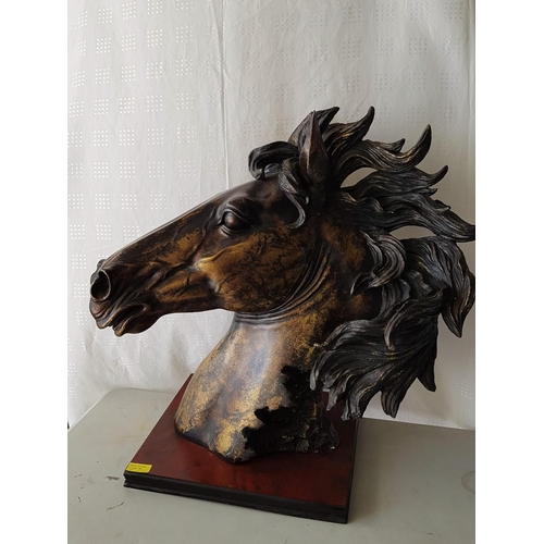 182 - Large Horse Head Bust, Brass Effect, on Wooden Base (H:63 x 62cm)