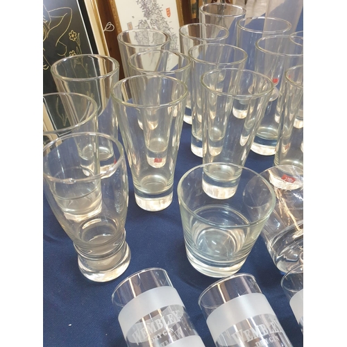 525 - Various Glasses in Different Style, Shape and Sizes (Apporx 30pcs)