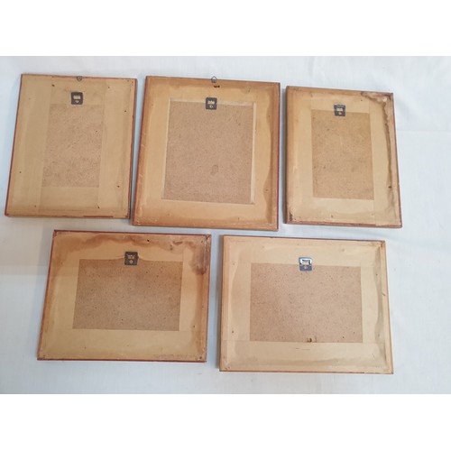 427 - Collection of Small Papyrus in Gilded Frames (3 x 20.5cm x 16cm, 1 x 22cm x 17cm and 22cm x 19.5cm)