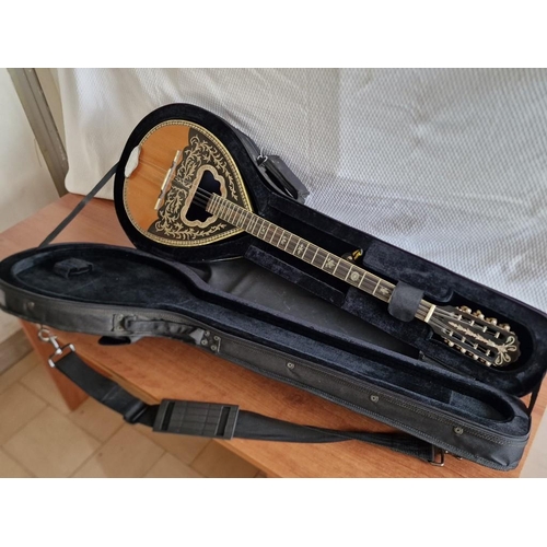 100 - Sakis Bouzouki, Hand made by Dionisios Matsikas & Sons in Hellas, Greece; 4 x Pairs of Strings, Appr... 