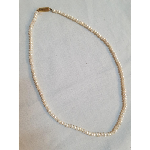 561 - Ladies Fresh Water Pearl Necklace with Gold Tone Clasp