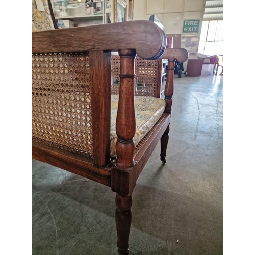 809 - Antique Wooden Armchair with Cane Seat, Backrest and Sides, Scroll Arms, Turned Front Legs with Cast... 