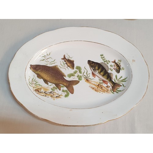 36 - Royal Imperial Fine Bone China Oval Shaped Platter Decorated with Fish, Together with 2 x Oyster She... 