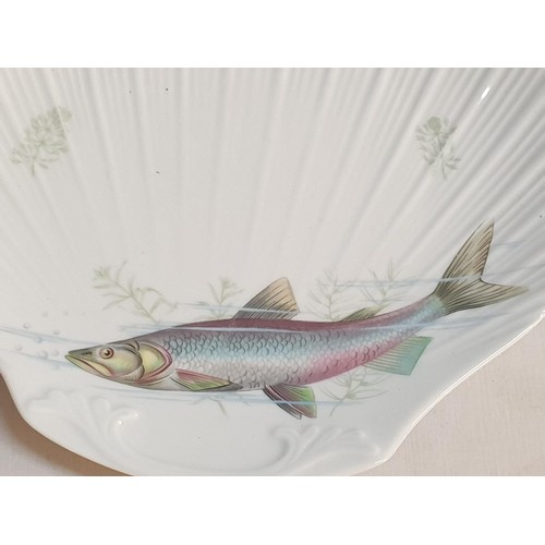 36 - Royal Imperial Fine Bone China Oval Shaped Platter Decorated with Fish, Together with 2 x Oyster She... 