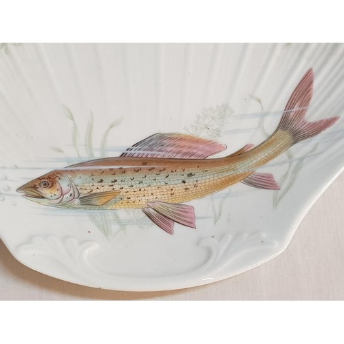 36 - Royal Imperial Fine Bone China Oval Shaped Platter Decorated with Fish, Together with 2 x Oyster She... 