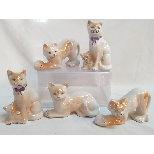 322 - Collection of Porcelain Cats Figurines, Made in Brazil (H:8cm- 11cm), (5)