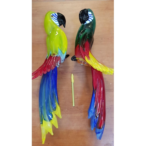 22 - 2 x Large Beautifully Coloured Heavy Murano Glass Parrots (Both Approx. H:60cm)