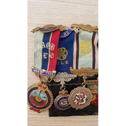 145 - Collection of Assorted Vintage Royal Ancient Order of Buffalos Medal and Masonic Ribbons, Incl. 3 x ... 