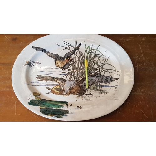 214 - Huge Oval Ceramic Platter Plate / Hand Painted Serving Platter with Wildlife Hallard Pattern (55 x 4... 