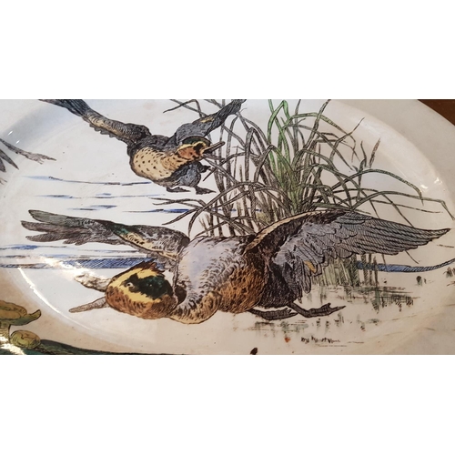 214 - Huge Oval Ceramic Platter Plate / Hand Painted Serving Platter with Wildlife Hallard Pattern (55 x 4... 