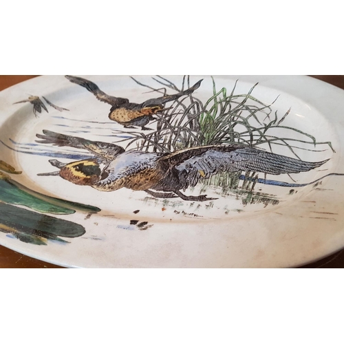 214 - Huge Oval Ceramic Platter Plate / Hand Painted Serving Platter with Wildlife Hallard Pattern (55 x 4... 