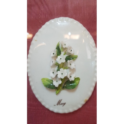 219 - Vintage Porcelain Floral Month Plates (51 x 68cm)