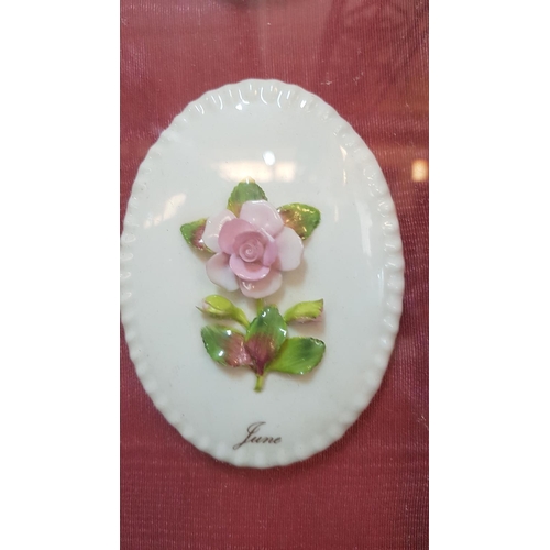 219 - Vintage Porcelain Floral Month Plates (51 x 68cm)