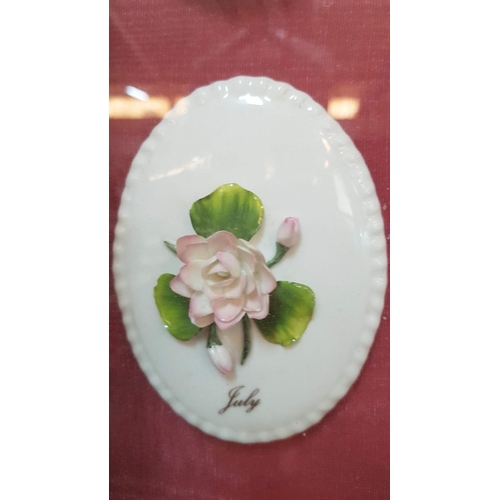 219 - Vintage Porcelain Floral Month Plates (51 x 68cm)