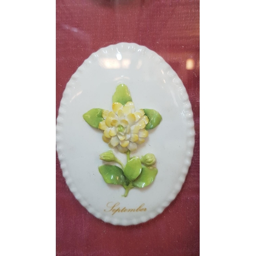 219 - Vintage Porcelain Floral Month Plates (51 x 68cm)