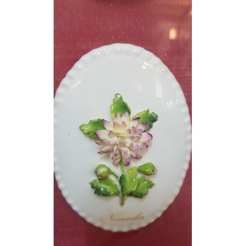 219 - Vintage Porcelain Floral Month Plates (51 x 68cm)