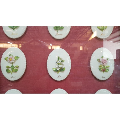 219 - Vintage Porcelain Floral Month Plates (51 x 68cm)