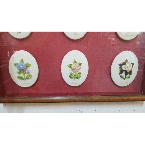 219 - Vintage Porcelain Floral Month Plates (51 x 68cm)