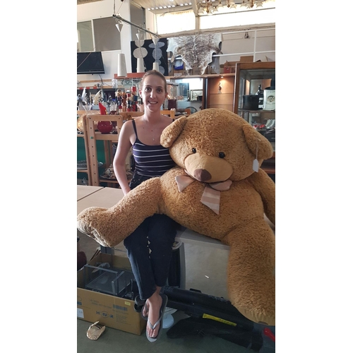 75A - Smiling Teddy Bear Huggable Giant Bear Looking for Home

Nb. Model NOT Included, Shown for Scale Pur... 