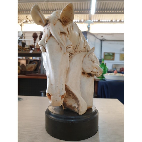 80 - Head and Neck Bust of 