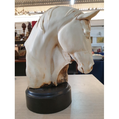 80 - Head and Neck Bust of 