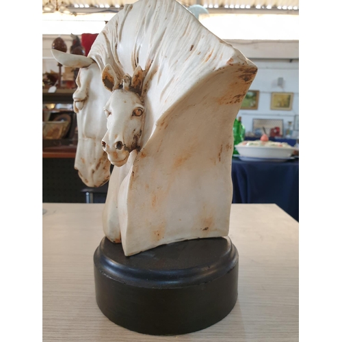 80 - Head and Neck Bust of 