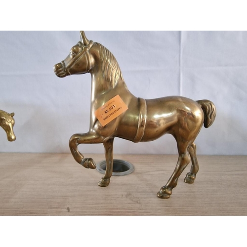 28 - 3 x Heavy Brass Horses (14 x 14cm, 18 x 12cm and 25 x 20cm)