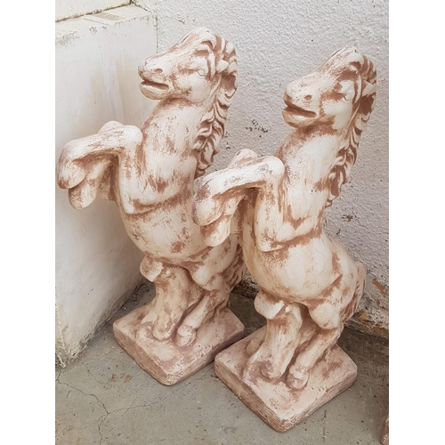 205 - Pair of Large Outdoor Horse Statues (H:80cm each)