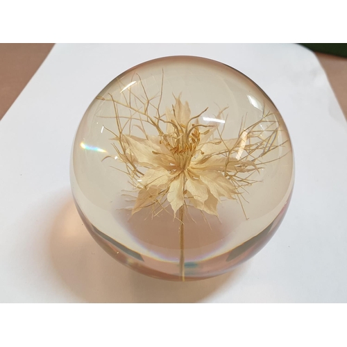 92 - Rare Vintage Hafod Grange Welsh Lucite and Floral Large Paperweight (Resin, 2002) in Original Box