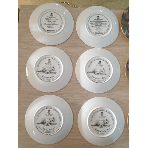 28 - Collection of 12 x Royal Worcester Cats and Dogs  Plates (Approx. Ø:19cm each)