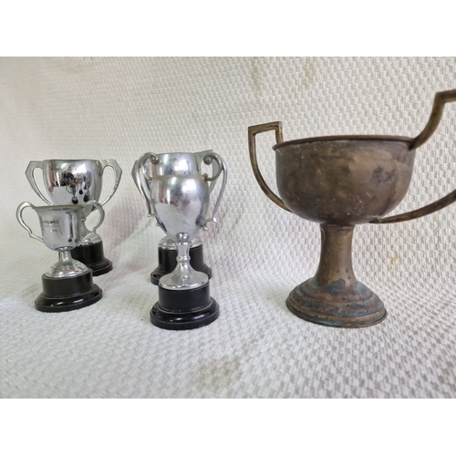 52 - Collection of 5 x Metal Trophy Cups, (5)