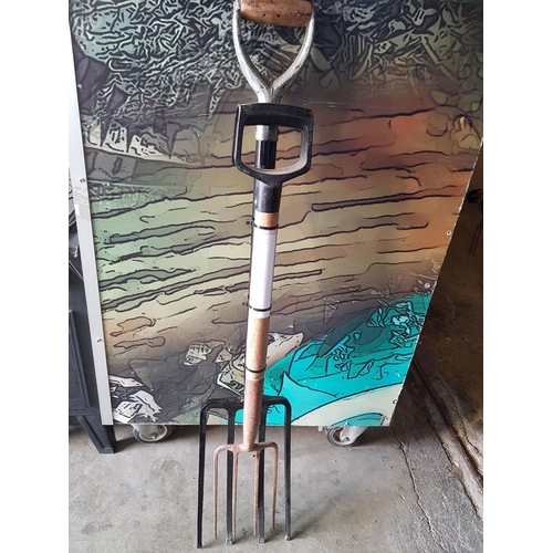 229 - 2 x Garden Forks