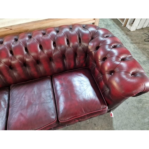 97 - Red Oxblood Leather Chesterfield Sofa, 3-Seater, Made in England (H:74cm x W:198cm x D:93cm)