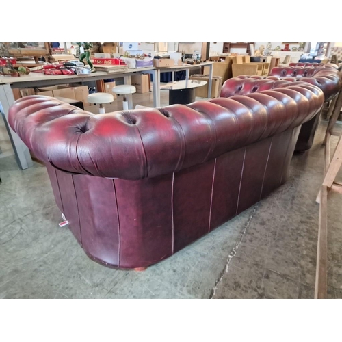 97 - Red Oxblood Leather Chesterfield Sofa, 3-Seater, Made in England (H:74cm x W:198cm x D:93cm)