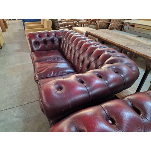 99 - Red Oxblood Leather Chesterfield Sofa, 3-Seater, Made in England (H:74cm x W:198cm x D:93cm)