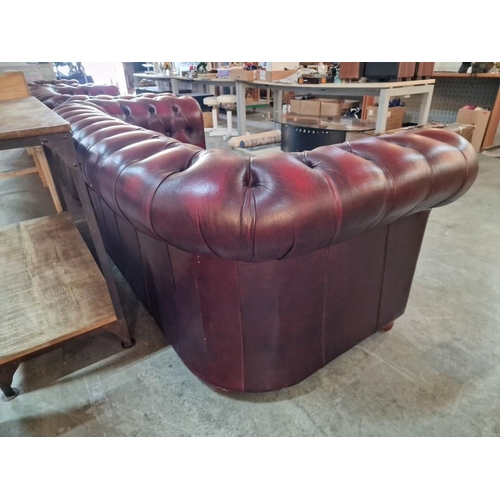 99 - Red Oxblood Leather Chesterfield Sofa, 3-Seater, Made in England (H:74cm x W:198cm x D:93cm)