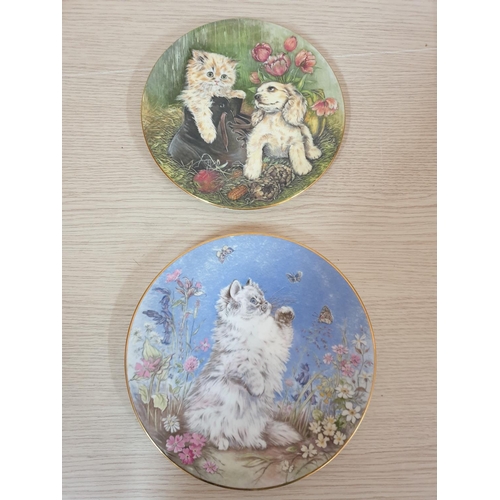 86 - Cats, Dogs and Other Animal Pattern Porcelain Decorative Plates, 8 x Different Sizes, Brands etc (Ro... 