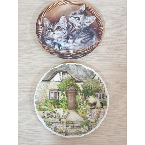 86 - Cats, Dogs and Other Animal Pattern Porcelain Decorative Plates, 8 x Different Sizes, Brands etc (Ro... 